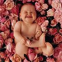 Bebé sonriendo acostado sobre Rosas