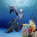 Delfines 3