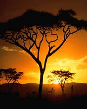 Atardecer africano