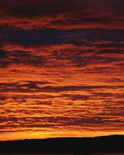 Atardecer 24
