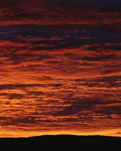 Atardecer 31