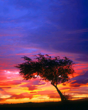 Palmdale California