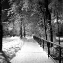 Puente en un parque