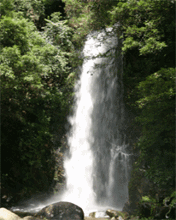 Animación de Cascada