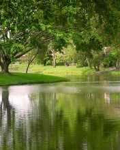 Paisaje de un río