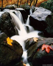 Riachuelo entre las piedras