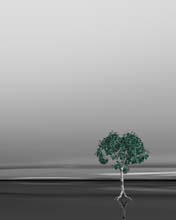 Paisajes 128