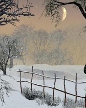 Paisajes 228