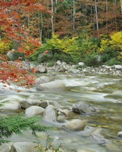 Paisajes 257