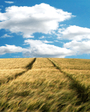 Paisajes 262