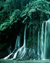 Paisaje de una Cascada