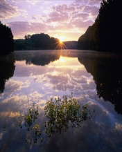 Paisajes 294