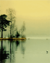 Paisajes 36