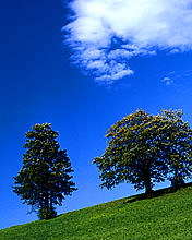 Paisajes 64