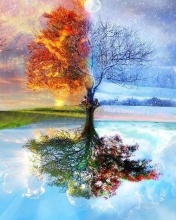 Paisajes 78