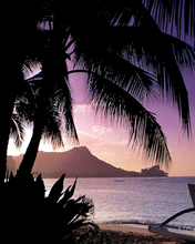 Paisajes 85