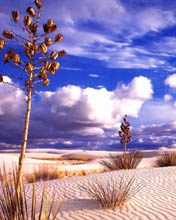 Paisajes 87