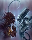 Alien vs Depredator