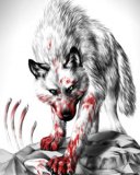 Lobo blanco imagen de terror