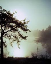 Lago con niebla