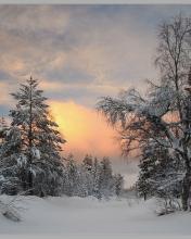 Paisaje invernal