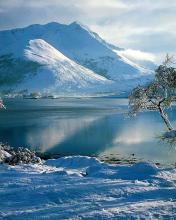 Lago en el invierno