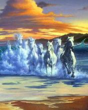 Caballos blancos a galope