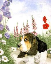 Perrito en campo de flores