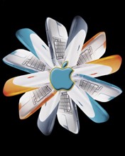 Flor de Apple