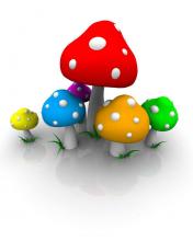 Hongos en 3D