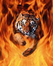 Tigre saliendo del fuego