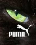 Marca Puma