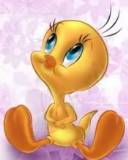 Tweety mira las Estrellas