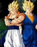 Vegito And Gogeta