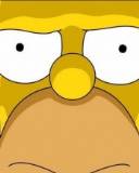 Cara de homero