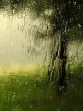 Lluvia a través de un Cristal