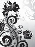 Flores en Blanco y Negro