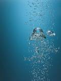 Medusas y Burbujas