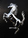 Caballo de Ferrari