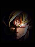 Goku en Penunbras