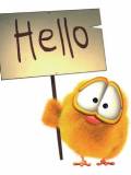 Pollito con cartel de Hello