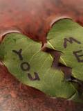 Hoja con texto You Me