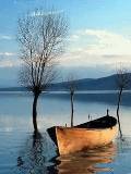 Bote en un lago