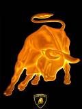 Lamborghini Bull