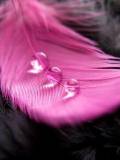 Tres Gotas de agua
