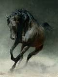 Un Caballo a Galope