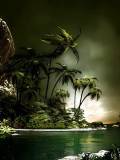 Islote Tropica