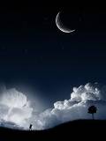 Escena nocturna
