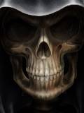Skulls Grin minifondo