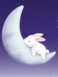 Conejito durmiendo en la Luna